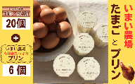 BQ4　平飼い 有精卵 20個 と プリン 6個　いまい農場　【 セット 国産 濃厚 卵 たまご 有精卵 デザート スイーツ スィーツ 贈り物 兵庫県 宍粟市 しそうし 】