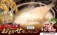 【 令和7年産 】おまかせ セレクション 【定期便3回】熊本県産 無洗米  ＜ひのひかり / 森のくまさん / くまさんの輝き ＞ 25kg  | 単一銘柄 米 単一米 お米 こめ 小分け 人気 コメ お米 5kg 10kg 15kg 20kg 25kg 30kg 定期便 3回 6回 12回 ブランド米 菊池川流域 家庭用 送料無料 熊本 くまもと 熊本県 和水 和水町 人気 ごはん