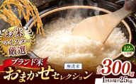 【 令和7年産 】おまかせ セレクション 【定期便12回】熊本県産 無洗米  ＜ひのひかり / 森のくまさん / くまさんの輝き ＞ 25kg  | 単一銘柄 米 単一米 お米 こめ 小分け 人気 コメ お米 5kg 10kg 15kg 20kg 25kg 30kg 定期便 3回 6回 12回 ブランド米 菊池川流域 家庭用 送料無料 熊本 くまもと 熊本県 和水 和水町 人気 ごはん