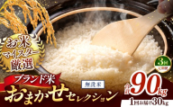 【 令和7年産 】おまかせ セレクション 【定期便3回】熊本県産 無洗米  ＜ひのひかり / 森のくまさん / くまさんの輝き ＞ 30kg  | 単一銘柄 米 単一米 お米 こめ 小分け 人気 コメ お米 5kg 10kg 15kg 20kg 25kg 30kg 定期便 3回 6回 12回 ブランド米 菊池川流域 家庭用 送料無料 熊本 くまもと 熊本県 和水 和水町 人気 ごはん