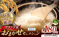 【 令和7年産 】おまかせ セレクション 【定期便6回】熊本県産 無洗米  ＜ひのひかり / 森のくまさん / くまさんの輝き ＞ 30kg  | 単一銘柄 米 単一米 お米 こめ 小分け 人気 コメ お米 5kg 10kg 15kg 20kg 25kg 30kg 定期便 3回 6回 12回 ブランド米 菊池川流域 家庭用 送料無料 熊本 くまもと 熊本県 和水 和水町 人気 ごはん
