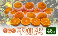 不知火 4.5Kg | 果物 フルーツ 旬 柑橘 兵庫県 洲本市 淡路島[№5395-0506]