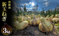 栽培期間中農薬不使用の淡路島新玉ねぎ3kg 新玉ねぎ 玉ねぎ タマネギ 野菜 旬の野菜 季節の野菜 兵庫県 洲本市 淡路島[№5395-0512]