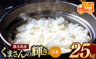 【 令和7年産 】 【定期便12回】 熊本県産 くまさんの輝き 白米 25kg | 小分け 5kg × 5袋  熊本県産 こめ 米 白米 ごはん 銘柄米 ブランド米 単一米 人気 日本遺産 菊池川流域 こめ作り ごはん ふるさと納税 返礼品