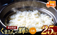 【 令和7年産 】 【定期便6回】 熊本県産 くまさんの輝き 白米 25kg | 小分け 5kg × 5袋  熊本県産 こめ 米 白米 ごはん 銘柄米 ブランド米 単一米 人気 日本遺産 菊池川流域 こめ作り ごはん ふるさと納税 返礼品