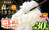 【 令和7年産 】【定期便12回】 熊本県産 森のくまさん 白米 30kg | 小分け 5kg × 6袋  熊本県産 こめ 米 白米 ごはん 銘柄米 ブランド米 単一米 人気 日本遺産 菊池川流域 こめ作り ごはん ふるさと納税 返礼品