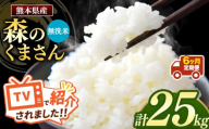【令和7年産】【定期便6回】 熊本県産 森のくまさん 無洗米 25kg | 小分け 5kg × 5袋  熊本県産 こめ 米 無洗米 ごはん 銘柄米 ブランド米 単一米 人気 日本遺産 菊池川流域 こめ作り ごはん ふるさと納税 返礼品