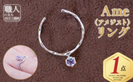 Ame（アメジスト）リング（IRN-23Ame）SILVER925 池田工芸 [5839-2252]