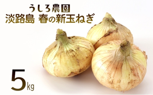 淡路島　春の新玉ねぎ　5kg　早生 新玉ねぎ 玉ねぎ たまねぎ 玉葱 オニオン 野菜 肉厚 ジューシー スライス ホイル焼き レンジ調理 バター醤油 旬 兵庫県 洲本市 淡路島[№5395-0552]