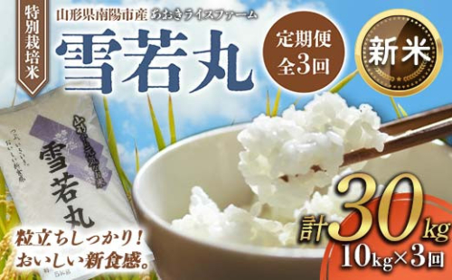 【令和8年産 新米 先行予約】 【金賞受賞農家】 《定期便3回》 特別栽培米 雪若丸 計10kg(5kg×2袋)×3か月 《令和8年10月上旬～発送》 『あおきライスファーム』 山形南陽産 米 白米 精米 ご飯 農家直送 山形県 南陽市 [2408-R8] 2563620 - 山形県南陽市