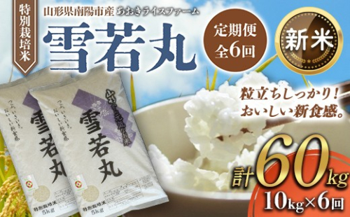 【令和8年産 新米 先行予約】 【金賞受賞農家】 《定期便6回》 特別栽培米 雪若丸 計10kg(5kg×2袋)×6か月 《令和8年10月上旬～発送》 『あおきライスファーム』 山形南陽産 米 白米 精米 ご飯 農家直送 山形県 南陽市 [2667-R8] 2563621 - 山形県南陽市