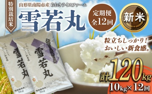 【令和8年産 新米 先行予約】 【金賞受賞農家】 《定期便12回》 特別栽培米 雪若丸 計10kg(5kg×2袋)×12か月 《令和8年10月上旬～発送》 『あおきライスファーム』 山形南陽産 米 白米 精米 ご飯 農家直送 山形県 南陽市 [2668-R8] 2563622 - 山形県南陽市
