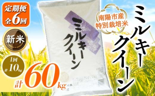 【令和8年産 新米 先行予約】 【金賞受賞農家】 《定期便6回》 特別栽培米 ミルキークイーン 計10kg(5kg×2袋)×6か月 《令和8年10月上旬～発送》 『あおきライスファーム』 山形南陽産 米 白米 精米 ご飯 農家直送 山形県 南陽市 [2416-R8] 2563627 - 山形県南陽市