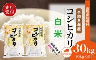 ＜令和8年産米先行受付＞ 鮭川村 コシヒカリ 【白米】 定期便 30kg （10kg×1ヶ月間隔で3回お届け）＜配送時期選べます＞