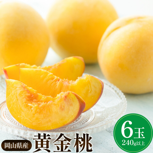 岡山県産 黄金桃 6玉 (240g以上) 有限会社ホーティカルチャー神島《9月上旬-9月中旬頃出荷》岡山県 浅口市 黄桃 桃 モモ 果物 スイーツ フルーツ デザート 2563805 - 岡山県浅口市