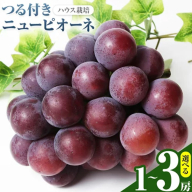 【先行予約】岡山県産 選べる つる付きニューピオーネ 2房 540g以上 3房 540g以上 1房 680g以上 有限会社ホーティカルチャー神島《2026年7月中旬-8月中旬頃出荷》岡山県 浅口市 葡萄 果物【配送不可地域あり】