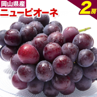 【先行予約】ニューピオーネ 2房 480g以上 加温栽培 有限会社ホーティカルチャー神島《2026年7月中旬-8月中旬頃出荷》岡山県 浅口市 ぶどう ピオーネ フルーツ 旬 果物 国産 岡山県産 送料無料 冷蔵【配送不可地域あり】