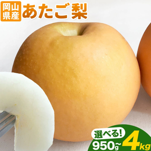 岡山県産 あたご梨 選べる 大玉2玉（950g以上）約3kg（3-5玉） 約4kg（3-6玉） 有限会社ホーティカルチャー神島《2026年11月中旬-12月中旬頃出荷》岡山県 浅口市 なし 梨 果物 【配送不可地域あり】 2563850 - 岡山県浅口市