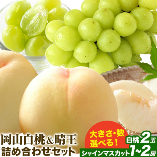 【先行予約】岡山白桃 ＆ シャインマスカット 晴王 セット 選べる サイズ 数 有限会社ホーティカルチャー神島《2026年7月上旬-8月上旬頃出荷》岡山県 浅口市 桃 白桃 もも 岡山白桃 シャインマスカット マスカット ぶどう 晴王【配送不可地域あり】 2563852 - 岡山県浅口市