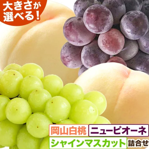 【先行予約】岡山白桃 ＆ シャインマスカット 晴王 ＆ ニューピオーネ セット 選べる サイズ 有限会社ホーティカルチャー神島《7月上旬-8月上旬頃出荷》岡山県 浅口市 白桃 ロイヤル シャインマスカット 桃 もも 晴王 ぶどう 詰め合わせ【配送不可地域あり】 2563913 - 岡山県浅口市