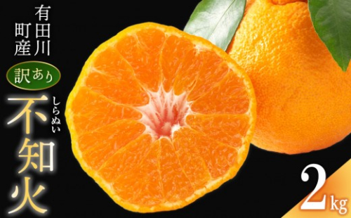 不知火(しらぬい) オレンジ みかん 訳あり 2kg サイズ混合 2563979 - 和歌山県有田川町