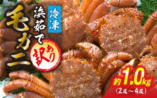 訳あり 北海道産 毛ガニ 冷凍 ボイル 約 1kg （ 2～4尾 ） 毛蟹 毛がに かに カニ 蟹 かに味噌 カニ味噌 海鮮 海産物 わけあり 訳アリ 2564155 - 北海道新ひだか町