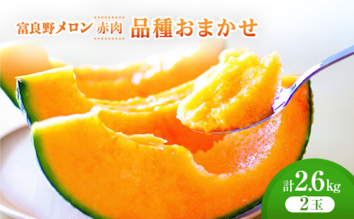 ＜2026年発送＞富良野メロン (赤肉) 品種おまかせ 約1.3kg～/2玉 [ メロン フルーツ 果物 北海道 富良野 ] 2564985 - 北海道富良野市