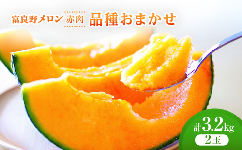 ＜2026年発送＞富良野メロン (赤肉) 品種おまかせ 約1.6kg～/2玉 [ メロン フルーツ 果物 北海道 富良野 ] 2564986 - 北海道富良野市