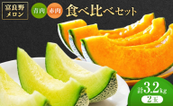 ＜2026年発送＞富良野メロン 赤肉/青肉 食べ比べセット 計2玉　約1.3kg～1.6kg [ メロン フルーツ 果物 北海道 富良野 ]