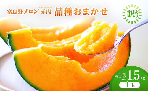 ＜2026年発送＞富良野メロン 約1.3kg～1.5kg 1玉 [ メロン フルーツ 果物 北海道 富良野 ] 2564998 - 北海道富良野市