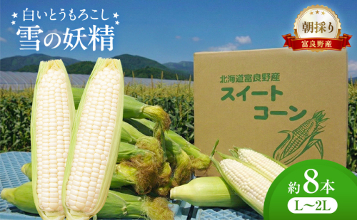 朝採り 白いとうもろこし 「雪の妖精」 北海道富良野産 L～2L 約8本 [ とうもろこし とうきび コーン ホワイトコーン 野菜 北海道 富良野 ] 2565002 - 北海道富良野市