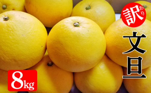 訳あり 文旦 8kg みかん 蜜柑 ぶんたん 柑橘 果物 フルーツ ゼリー ジュース アイス 国産 愛媛県 愛南町 発送:2月中旬～なくなり次第 2565030 - 愛媛県愛南町