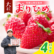 まりひめ4パック《先行予約》2027年1月～4月末まで順次発送予定【配送不可地域：北海道・青森・秋田・岩手・沖縄・離島】