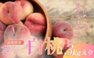 [2026年9月発送] 希少品種 さくら白桃 3kg