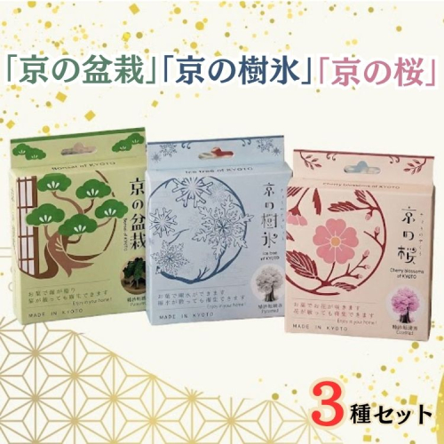 「京の桜」「京の盆栽」「京の樹氷」3種セット 紙 インテリア 日用雑貨 おしゃれ ギフト 工作 自由研究 2565911 - 京都府亀岡市