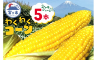 トウモロコシ わくわくコーン 5本 期間限定 数量限定 糖度15度以上 ジューシー 甘い スイートコーン 野菜 新鮮 朝採り クール便 冷蔵発送 静岡県 富士市 【6月中旬～7月中旬頃に順次発送】 [sf001-341]