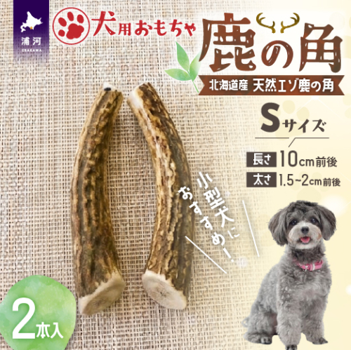 犬用「鹿の角」Ｓサイズ×2本[53-1595] 2566112 - 北海道浦河町