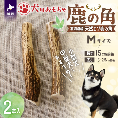 犬用「鹿の角」Ｍサイズ×2本[53-1596] 2566117 - 北海道浦河町