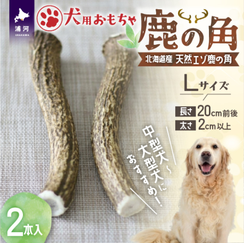 犬用「鹿の角」Ｌサイズ×2本[53-1597] 2566118 - 北海道浦河町