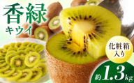 【先行受付】香川県オリジナルキウイフルーツ「香緑」約1.3kg 化粧箱【香川県共通返礼品】 | キウイ フルーツ 果物 香川県 香緑 デザート サラダ ヨーグルト トッピング 国産 季節限定 青果物 旬 おすすめ |_mk006-068