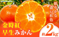 [先行受付]金時紅早生みかん 約2kg[香川県共通返礼品] | 金時紅 鮮やか 紅色 小原紅早生 糖度 甘い みかん ミカン 柑橘 柑橘系 果物 フルーツ 青果 デザート グルメ おすすめ 贈答 贈り物 贈答用 ギフト プレゼント 特産品 特産 取り寄せ 香川県 三木町 |_mk006-076