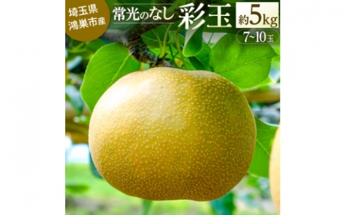 地域の伝統ブランド 常光のなし「彩玉」 埼玉県鴻巣市産の梨 2023年産先行予約 埼玉県オリジナル品種 埼玉限定 256618 - 埼玉県鴻巣市