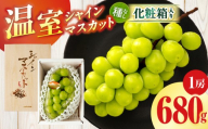 【先行受付】温室シャインマスカット 1房化粧箱入り(680g以上) | マスカット ハウス ぶどう ブドウ 葡萄 果物 フルーツ 人気 香川 香川県 三木町 種なし 皮ごと食べられる ジューシー 化粧箱 旬 おすすめ |_mk006-103