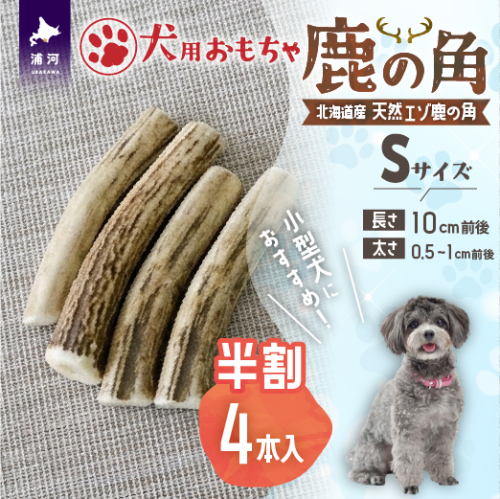 犬用「鹿の角(半割り)」Ｓサイズ×4本[53-1598] 2566226 - 北海道浦河町