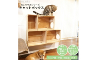 床置きタワー・壁付けキャットウォークで使えるキャットボックス　2段4点セット(左上がり)【1186736】