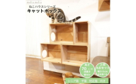 床置きタワー・壁付けキャットウォークで使えるキャットボックス　2段4点セット(右上がり)【1186737】