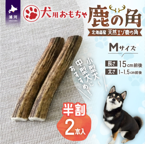 犬用「鹿の角(半割り)」Ｍサイズ×2本[53-1599] 2566310 - 北海道浦河町