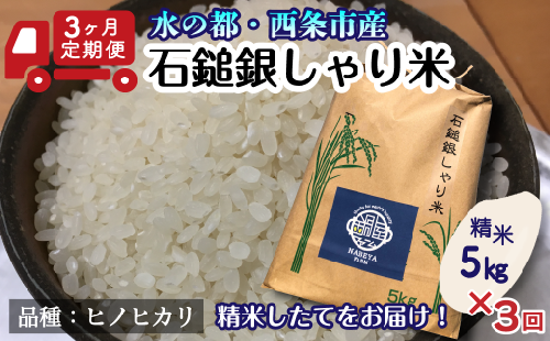 【3ヶ月定期便】令和4年産「石鎚銀しゃり米(ヒノヒカリ)」(5kg×3回・精米) 米 定期便 3回 5㎏ 256636 - 愛媛県西条市