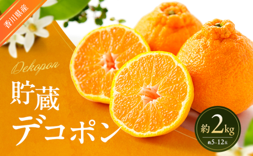 貯蔵デコポン 約2kg デコポン でこぽん 柑橘 フルーツ 果物 くだもの 果実 旬の果物 旬のフルーツ 香川 香川県 東かがわ市 2566489 - 香川県東かがわ市