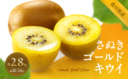 さぬきゴールドキウイ 約2.8kg キウイ キウイフルーツ フルーツ 果物 くだもの 果実 旬の果物 旬のフルーツ 香川 香川県 東かがわ市 2566497 - 香川県東かがわ市